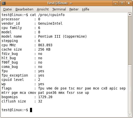Linux Prozessor herausfinden